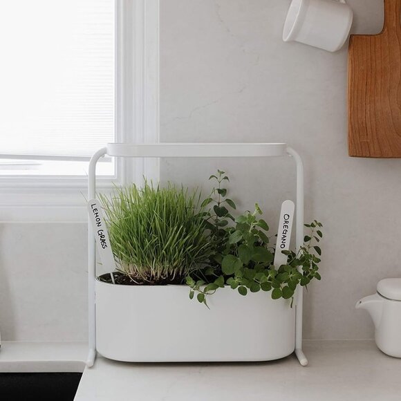 New in Box Umbra Giardino Indoor Herb Garden Set - Picture 9 of 14